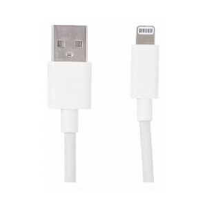 CABLE IPHONE 1M