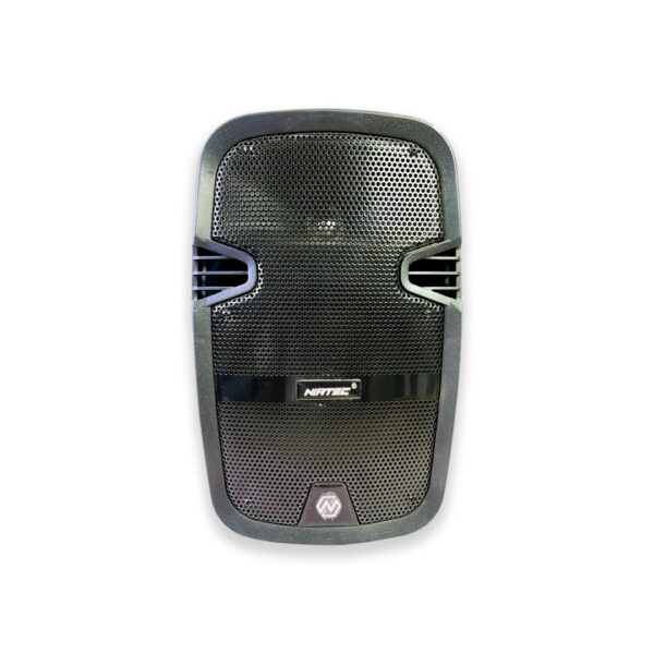 PARLANTES 8 PULG NT-PB10
